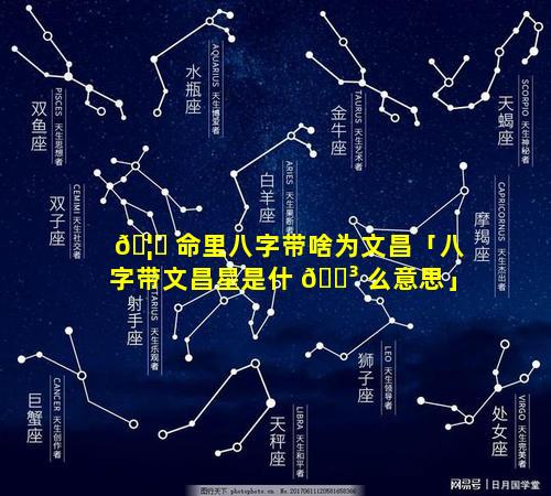 🦄 命里八字带啥为文昌「八字带文昌星是什 🐳 么意思」